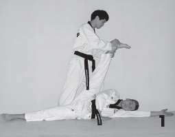 Иллюстрация к книге — Выживают сильнейшие. Физическая подготовка в практике боевых искусств и единоборств [i_241.jpg]