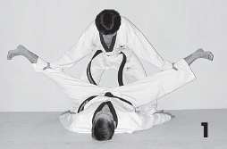 Иллюстрация к книге — Выживают сильнейшие. Физическая подготовка в практике боевых искусств и единоборств [i_242.jpg]