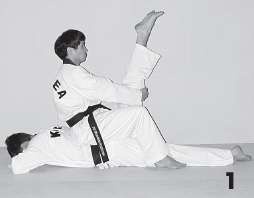 Иллюстрация к книге — Выживают сильнейшие. Физическая подготовка в практике боевых искусств и единоборств [i_243.jpg]