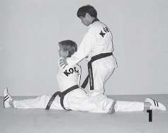 Иллюстрация к книге — Выживают сильнейшие. Физическая подготовка в практике боевых искусств и единоборств [i_244.jpg]