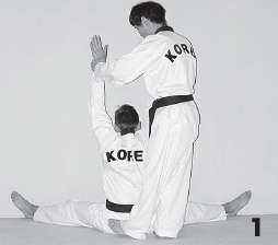 Иллюстрация к книге — Выживают сильнейшие. Физическая подготовка в практике боевых искусств и единоборств [i_245.jpg]