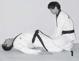 Иллюстрация к книге — Выживают сильнейшие. Физическая подготовка в практике боевых искусств и единоборств [i_246.jpg]