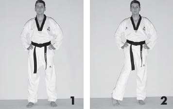 Иллюстрация к книге — Выживают сильнейшие. Физическая подготовка в практике боевых искусств и единоборств [i_250.jpg]