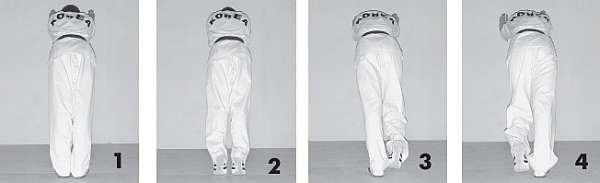 Иллюстрация к книге — Выживают сильнейшие. Физическая подготовка в практике боевых искусств и единоборств [i_251.jpg]