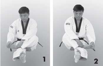 Иллюстрация к книге — Выживают сильнейшие. Физическая подготовка в практике боевых искусств и единоборств [i_252.jpg]