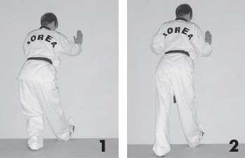 Иллюстрация к книге — Выживают сильнейшие. Физическая подготовка в практике боевых искусств и единоборств [i_255.jpg]