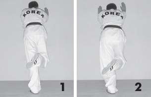 Иллюстрация к книге — Выживают сильнейшие. Физическая подготовка в практике боевых искусств и единоборств [i_256.jpg]