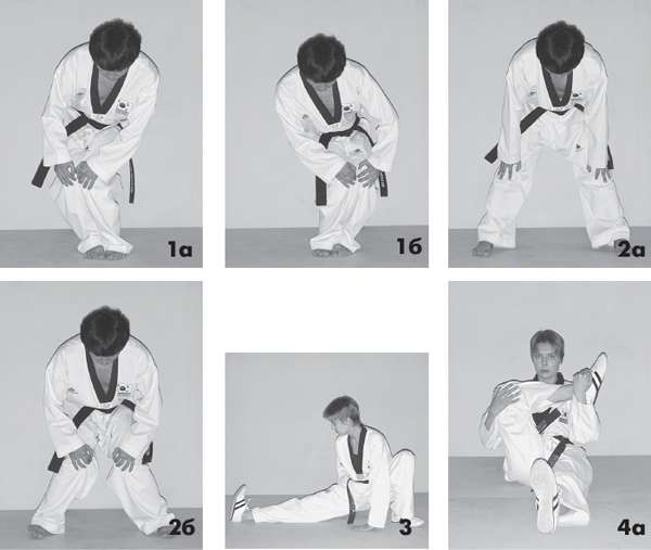 Иллюстрация к книге — Выживают сильнейшие. Физическая подготовка в практике боевых искусств и единоборств [i_264.jpg]