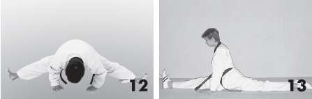 Иллюстрация к книге — Выживают сильнейшие. Физическая подготовка в практике боевых искусств и единоборств [i_269.jpg]