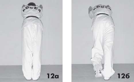 Иллюстрация к книге — Выживают сильнейшие. Физическая подготовка в практике боевых искусств и единоборств [i_273.jpg]