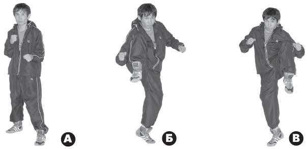 Иллюстрация к книге — Выживают сильнейшие. Физическая подготовка в практике боевых искусств и единоборств [i_275.jpg]