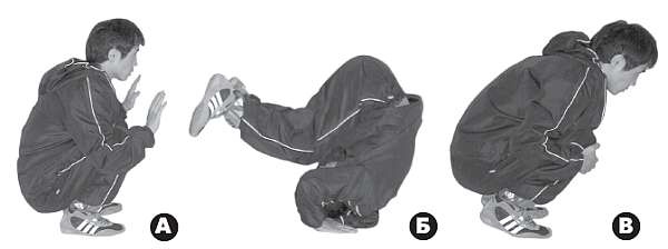 Иллюстрация к книге — Выживают сильнейшие. Физическая подготовка в практике боевых искусств и единоборств [i_279.jpg]