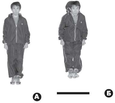 Иллюстрация к книге — Выживают сильнейшие. Физическая подготовка в практике боевых искусств и единоборств [i_284.jpg]