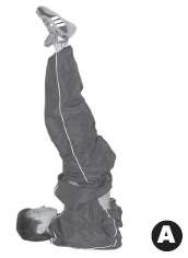 Иллюстрация к книге — Выживают сильнейшие. Физическая подготовка в практике боевых искусств и единоборств [i_285.jpg]