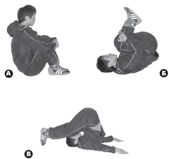 Иллюстрация к книге — Выживают сильнейшие. Физическая подготовка в практике боевых искусств и единоборств [i_286.jpg]