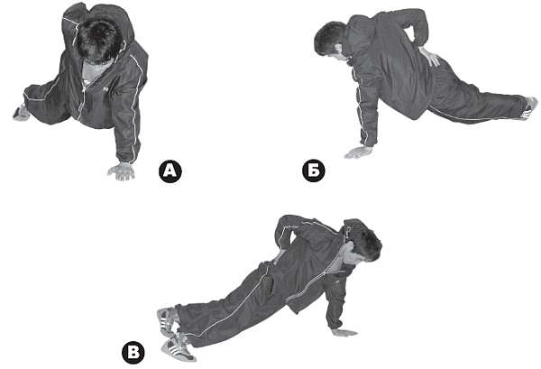 Иллюстрация к книге — Выживают сильнейшие. Физическая подготовка в практике боевых искусств и единоборств [i_287.jpg]