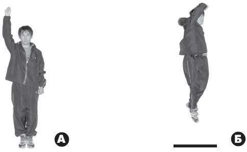 Иллюстрация к книге — Выживают сильнейшие. Физическая подготовка в практике боевых искусств и единоборств [i_290.jpg]