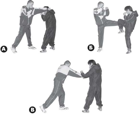 Иллюстрация к книге — Выживают сильнейшие. Физическая подготовка в практике боевых искусств и единоборств [i_295.jpg]