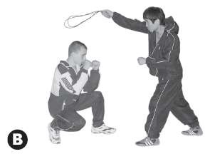 Иллюстрация к книге — Выживают сильнейшие. Физическая подготовка в практике боевых искусств и единоборств [i_297.jpg]