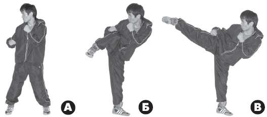 Иллюстрация к книге — Выживают сильнейшие. Физическая подготовка в практике боевых искусств и единоборств [i_304.jpg]