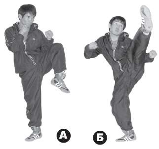 Иллюстрация к книге — Выживают сильнейшие. Физическая подготовка в практике боевых искусств и единоборств [i_307.jpg]