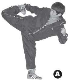 Иллюстрация к книге — Выживают сильнейшие. Физическая подготовка в практике боевых искусств и единоборств [i_309.jpg]