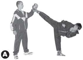 Иллюстрация к книге — Выживают сильнейшие. Физическая подготовка в практике боевых искусств и единоборств [i_317.jpg]