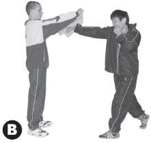 Иллюстрация к книге — Выживают сильнейшие. Физическая подготовка в практике боевых искусств и единоборств [i_319.jpg]