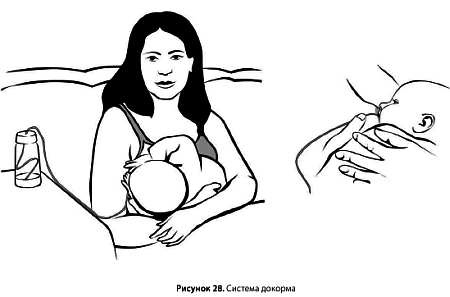 Иллюстрация к книге — Искусство грудного вскармливания [_19.jpg]