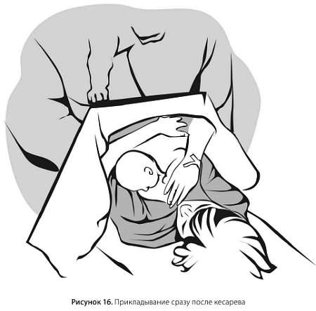 Иллюстрация к книге — Искусство грудного вскармливания [_25.jpg]