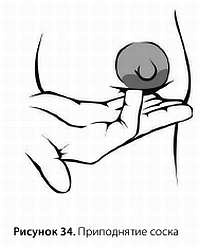 Иллюстрация к книге — Искусство грудного вскармливания [_34.jpg]