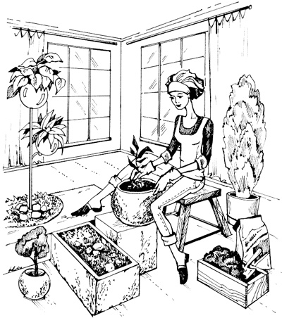 Иллюстрация к книге — Полная энциклопедия домашнего хозяйства [i_024.jpg]