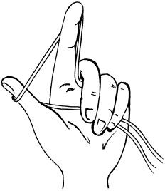 Иллюстрация к книге — Полная энциклопедия домашнего хозяйства [i_027.jpg]