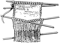 Иллюстрация к книге — Полная энциклопедия домашнего хозяйства [i_036.jpg]
