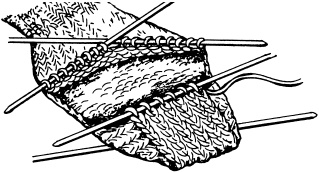 Иллюстрация к книге — Полная энциклопедия домашнего хозяйства [i_037.jpg]