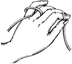 Иллюстрация к книге — Полная энциклопедия домашнего хозяйства [i_041.jpg]