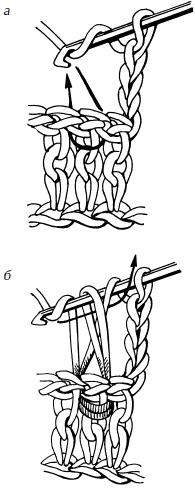 Иллюстрация к книге — Полная энциклопедия домашнего хозяйства [i_049.jpg]