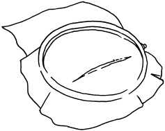 Иллюстрация к книге — Полная энциклопедия домашнего хозяйства [i_088.jpg]