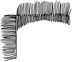 Иллюстрация к книге — Полная энциклопедия домашнего хозяйства [i_091.jpg]