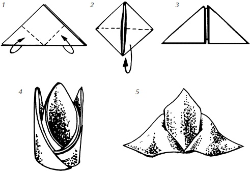 Иллюстрация к книге — Полная энциклопедия домашнего хозяйства [i_116.jpg]