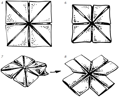 Иллюстрация к книге — Полная энциклопедия домашнего хозяйства [i_118.jpg]