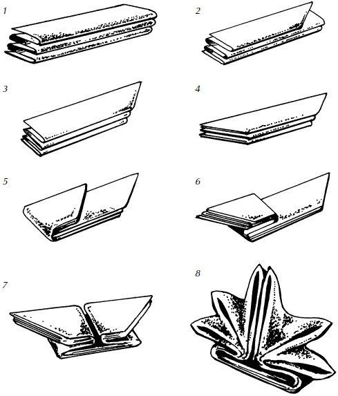 Иллюстрация к книге — Полная энциклопедия домашнего хозяйства [i_121.jpg]