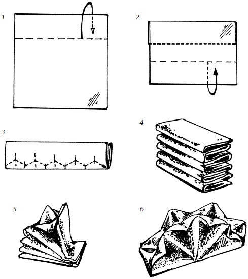 Иллюстрация к книге — Полная энциклопедия домашнего хозяйства [i_122.jpg]