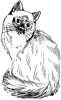 Иллюстрация к книге — Полная энциклопедия домашнего хозяйства [i_129.jpg]