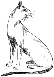 Иллюстрация к книге — Полная энциклопедия домашнего хозяйства [i_131.jpg]