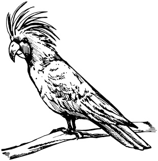 Иллюстрация к книге — Полная энциклопедия домашнего хозяйства [i_135.jpg]