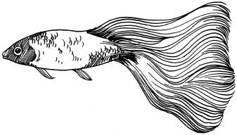 Иллюстрация к книге — Полная энциклопедия домашнего хозяйства [i_136.jpg]
