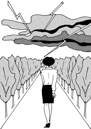 Иллюстрация к книге — Школа гейши. Искусство держать лицо [i_031.jpg]