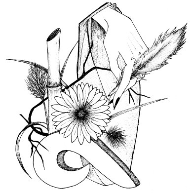 Иллюстрация к книге — Мудрость гейши, или Кимоно, расшитое драконами [i_005.jpg]