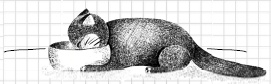 Иллюстрация к книге — Дневник дебильного кота [i_004.jpg]